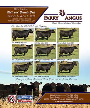 27th Annual Lotta Bull Sale