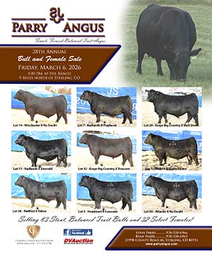 28th Annual Lotta Bull Sale